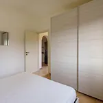 Susino أولبيا